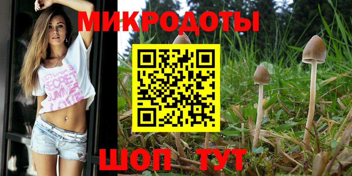 Каменск-Уральский  Псилоцибиновые грибы Magic Shrooms  Вход с VPN  Псилоцибиновые грибы мухоморы 
