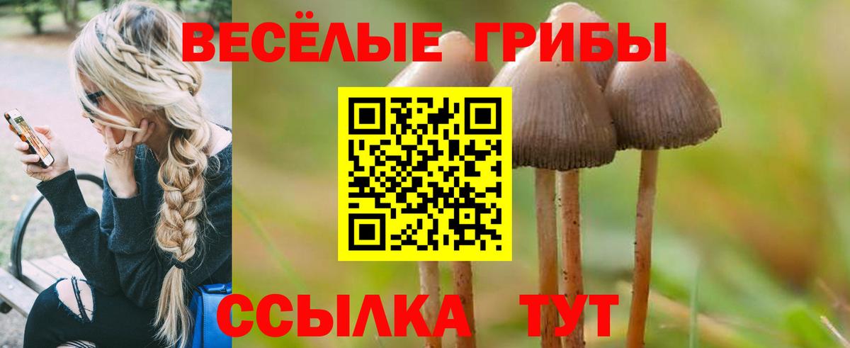 Галлюциногенные грибы GOLDEN TEACHER Каменск-Уральский